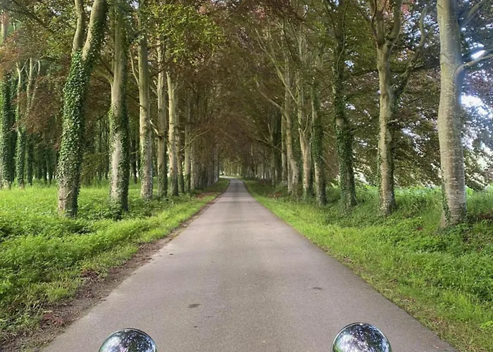 La Demeure Du Domaine De Tertu - Piscine Chauffee - Calme - Foret * Villedieu-les-Bailleul